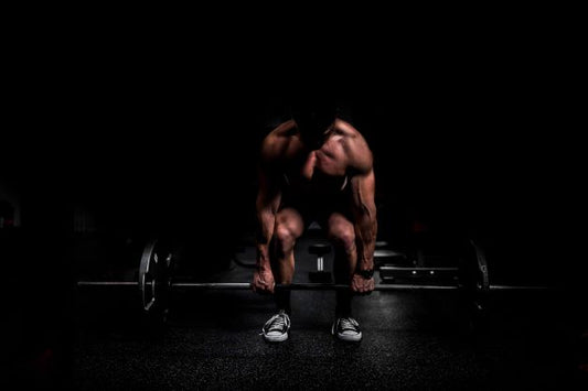 work out meal plans
